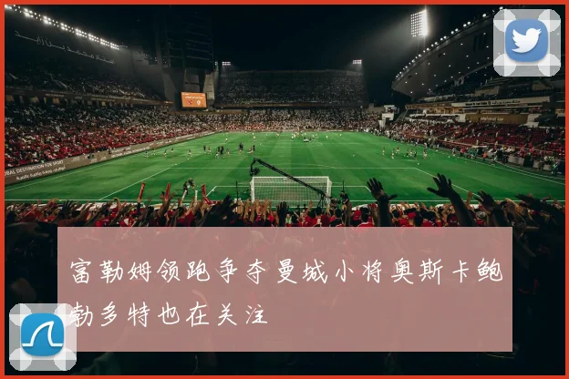 富勒姆领跑争夺曼城小将奥斯卡鲍勃多特也在关注