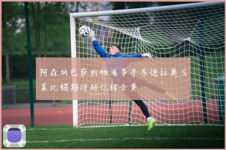 阿森纳巴萨利物浦争夺韦德拉奥戈莱比锡期待超亿转会费
