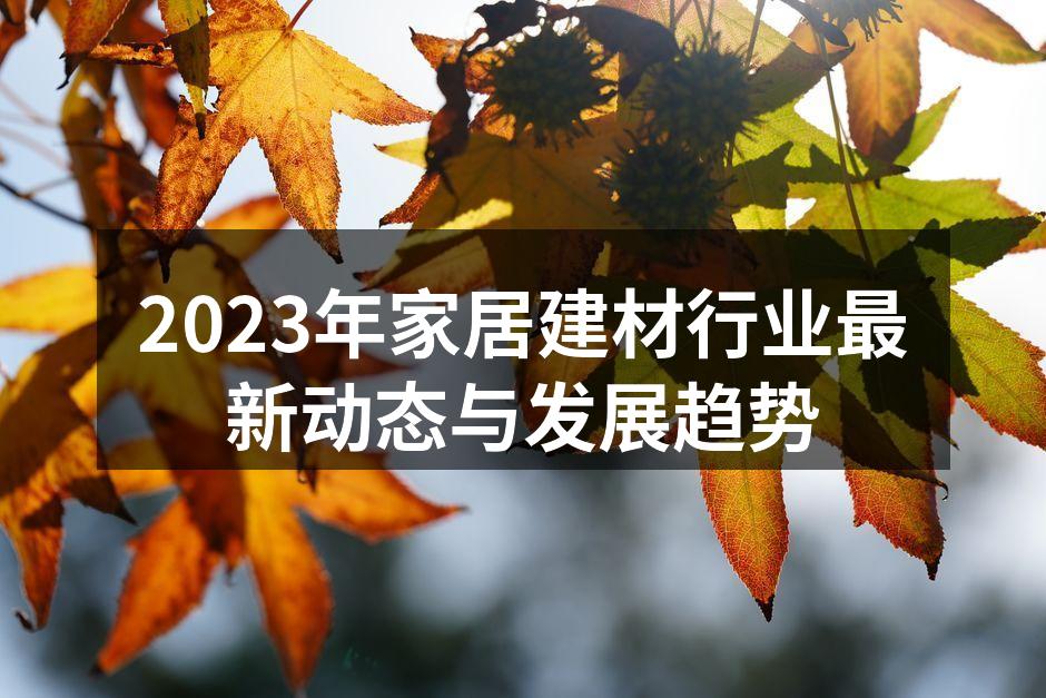 2023年家居建材行业最新动态与发展趋势